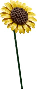 LEGO Botanicals: Μπουκέτο με Ηλιοτρόπια (11502) - Image 4