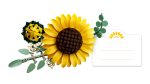 LEGO Botanicals: Μπουκέτο με Ηλιοτρόπια (11502) - Image 9