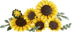 LEGO Botanicals: Μπουκέτο με Ηλιοτρόπια (11502) - Image 7
