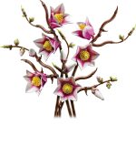 LEGO Botanicals: Κλαδιά Μανόλιας (11510) - Image 2