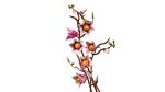 LEGO Botanicals: Κλαδιά Μανόλιας (11510) - Image 6